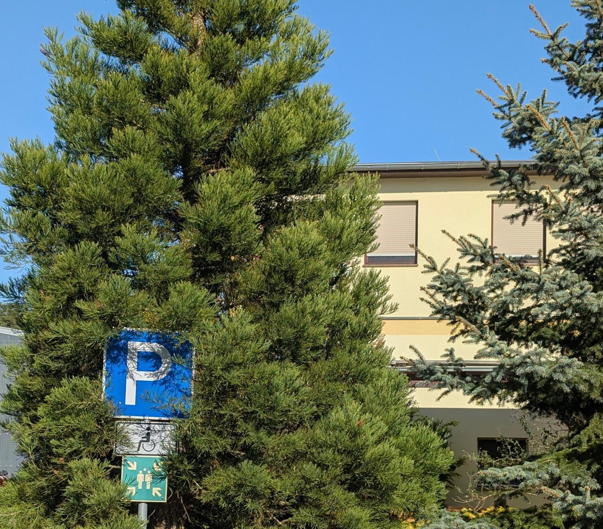 Pension Zum Reiterhof, Fewo 2 Schmogrow Экстерьер фото