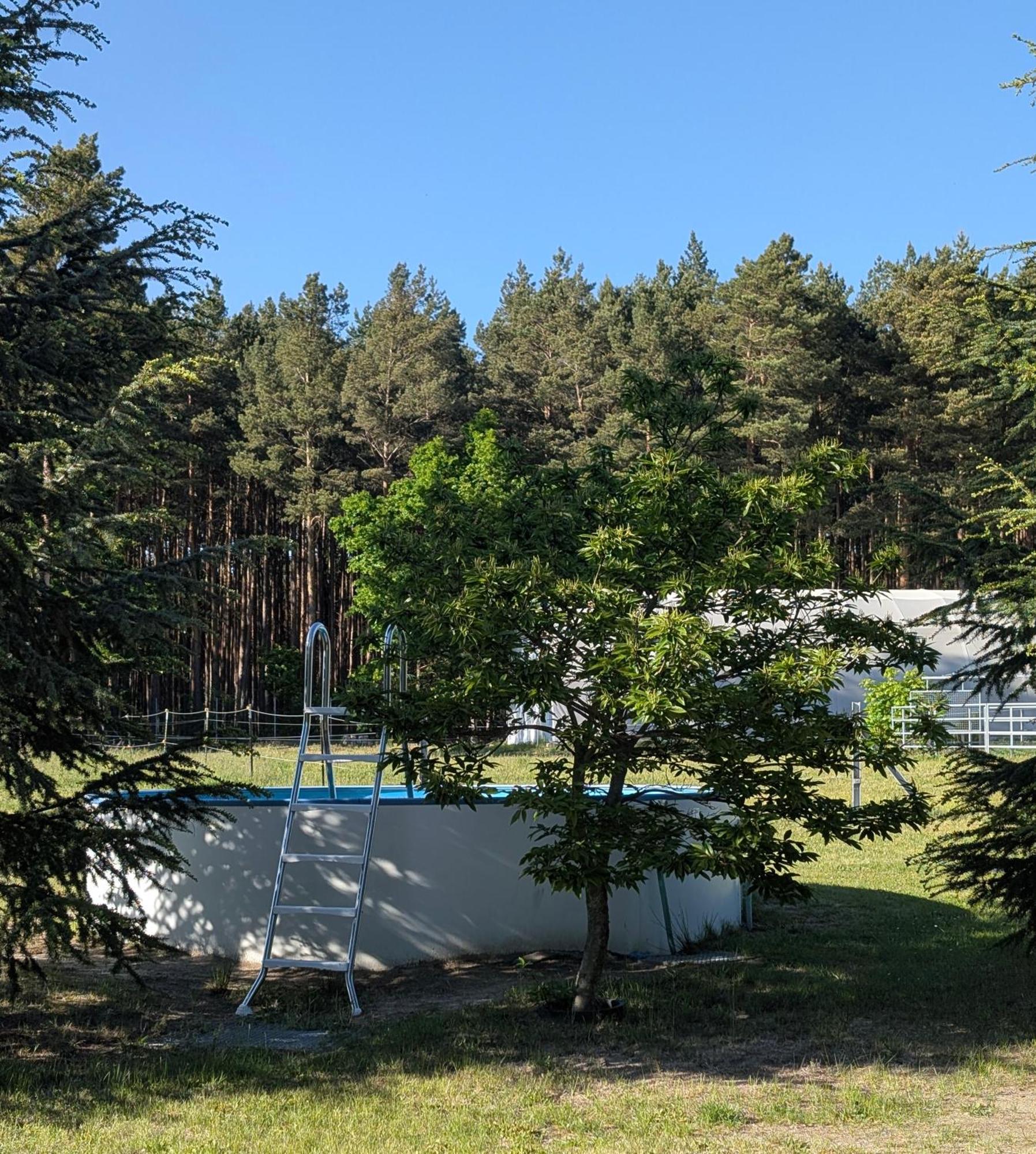 Pension Zum Reiterhof, Fewo 2 Schmogrow Экстерьер фото